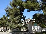 Holiday home Mas Les Cigalons, France, Cote d'Azur-Provence, Bouches-du-Rhone, MAUSSANE les Alpilles